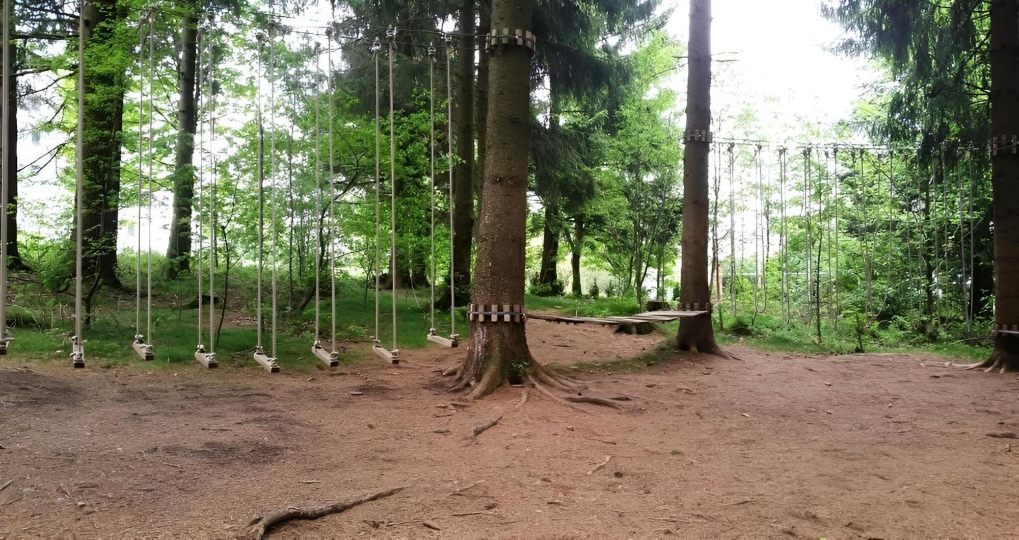 Modern & Vintage Bocksbergblick Ferienpark Hahnenklee Goslar Ngoại thất bức ảnh